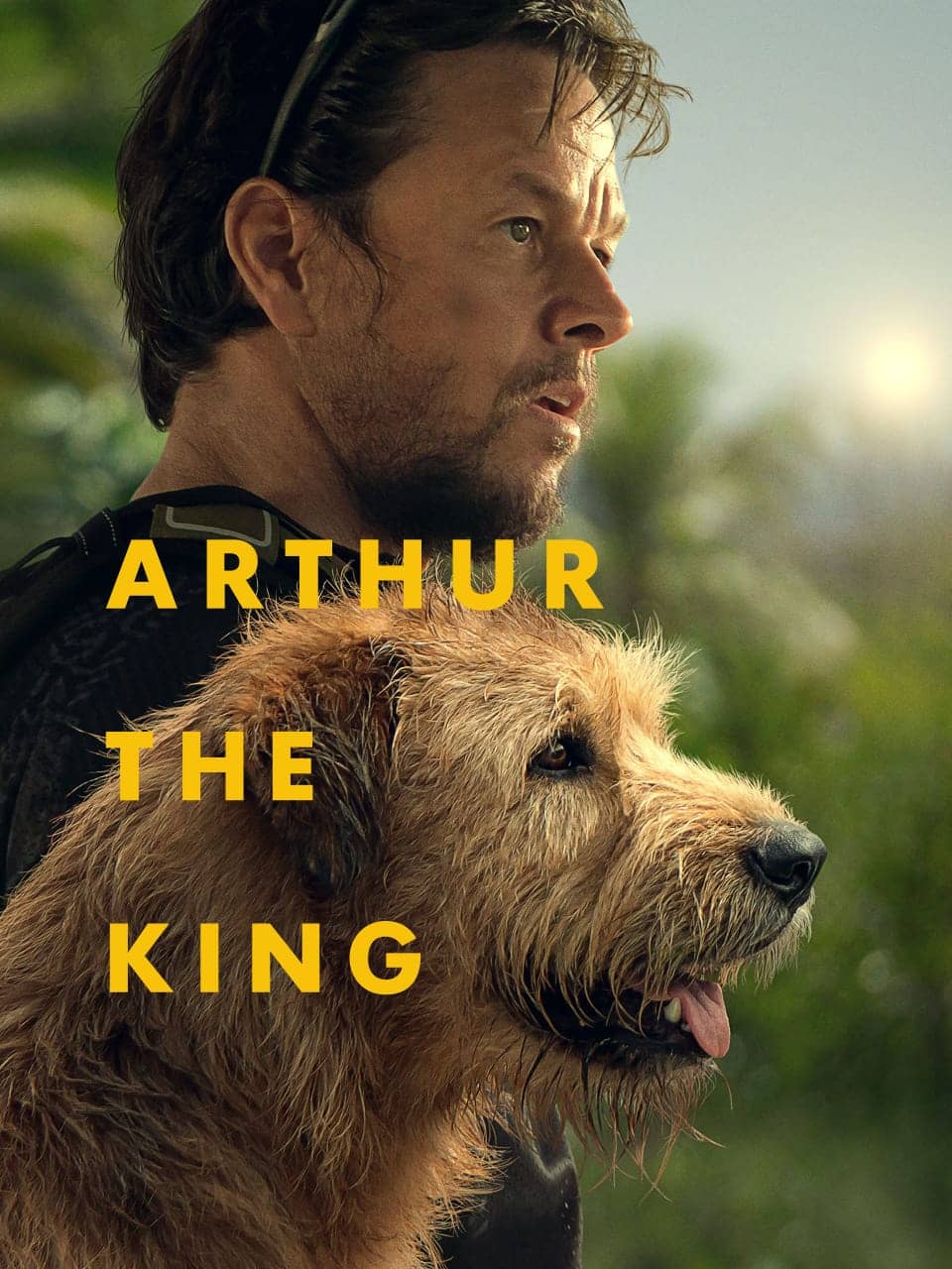 Arthur the King 2024 Dual Audio Hindi English Full Movie BluRay ESub – Arthur the King 2024 Dual Audio Hindi English Full Movie BluRay ESub –