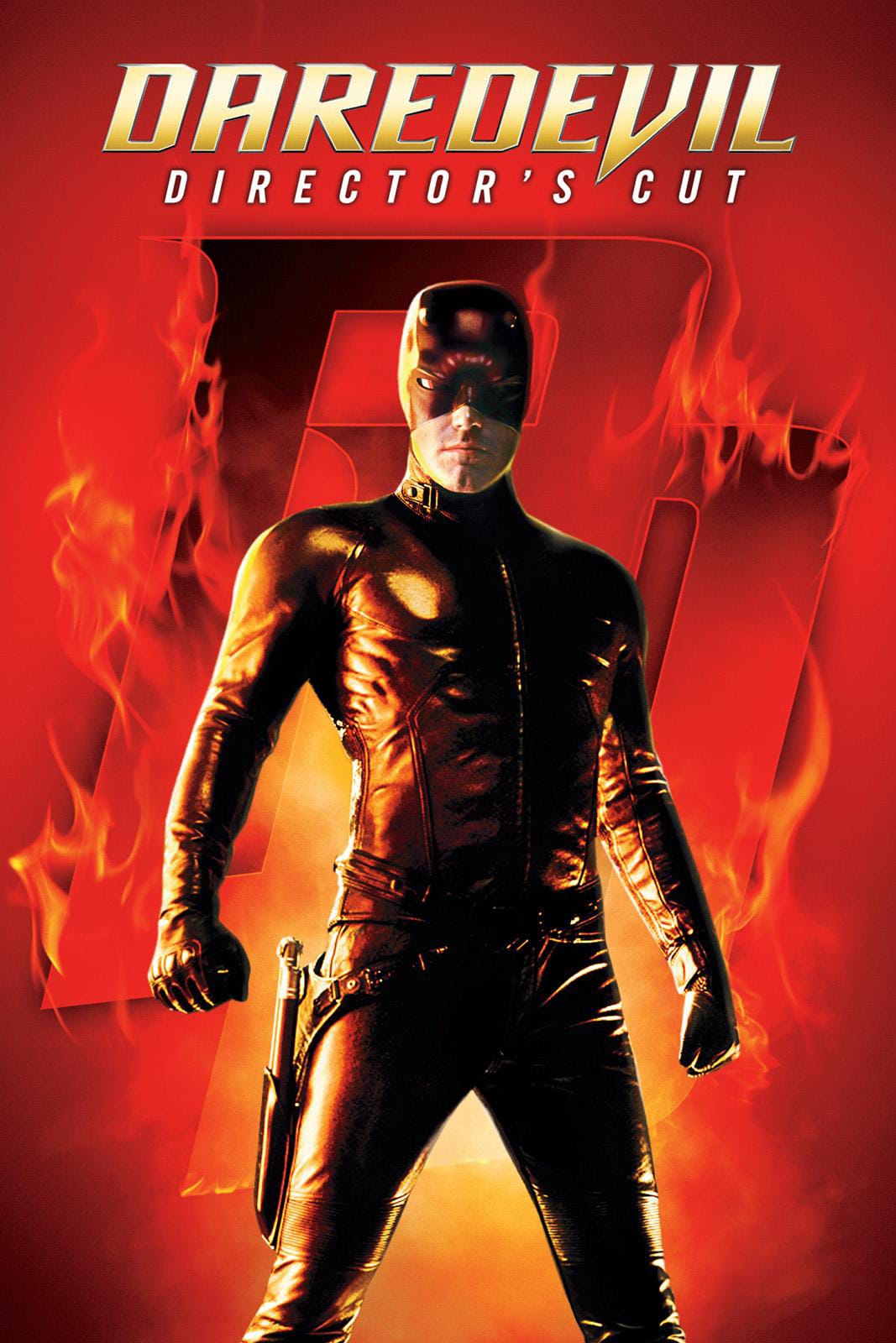 Daredevil 2003 Director s Cut Dual Audio Hindi English Full Movie BluRay ESub –