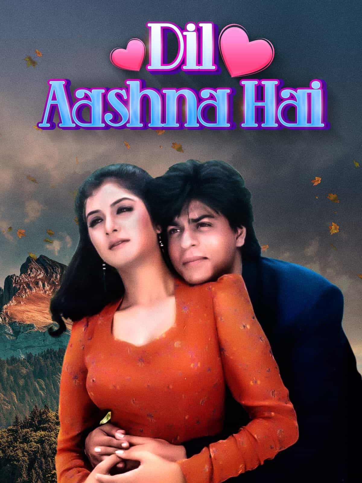 Dil Aashna Hai 1992 Hindi Full Movie HD ESub Dil Aashna Hai 1992 Hindi Full Movie HD ESub