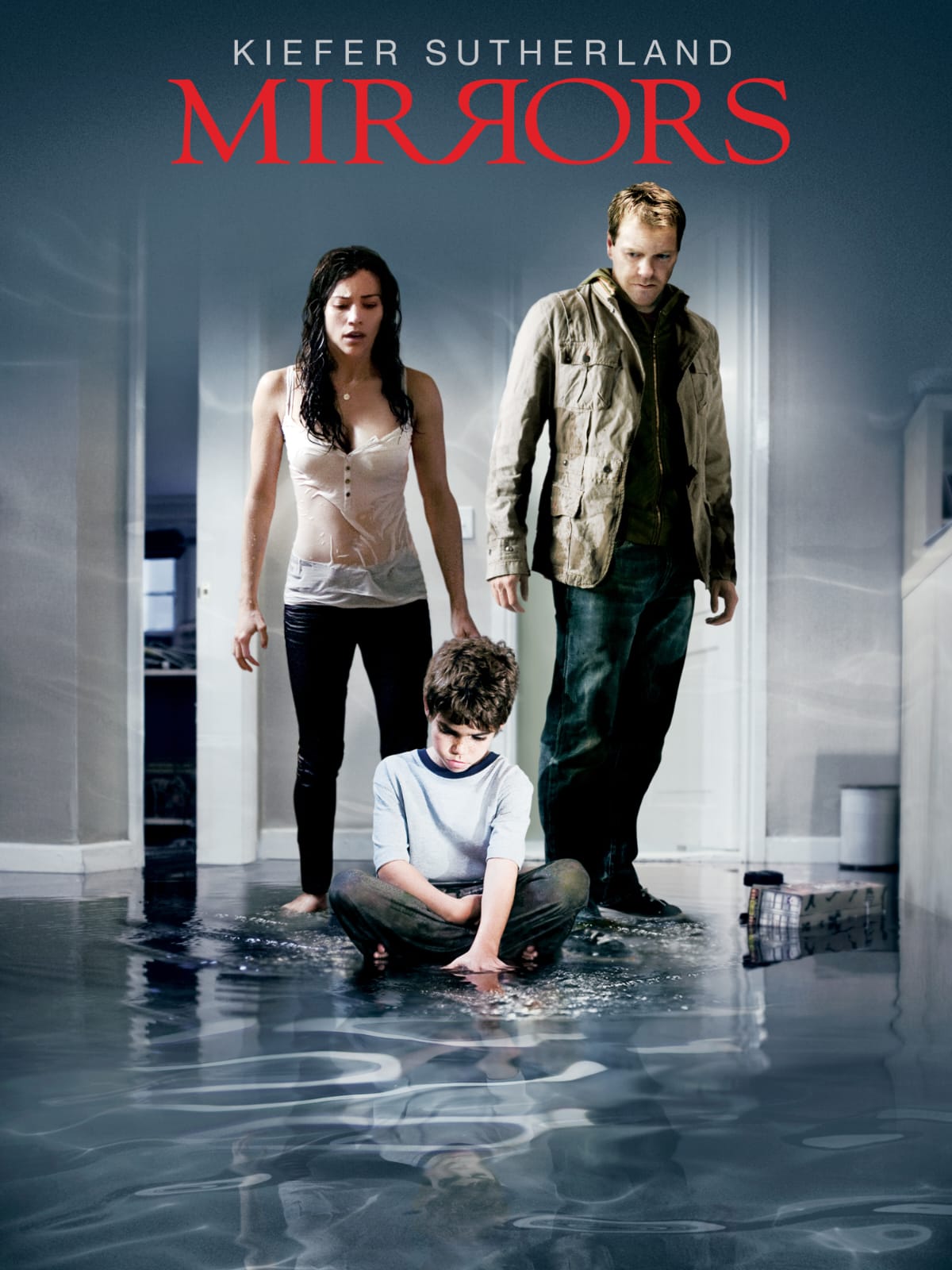 Mirrors 2008 Dual Audio Hindi English Full Movie BluRay ESub –