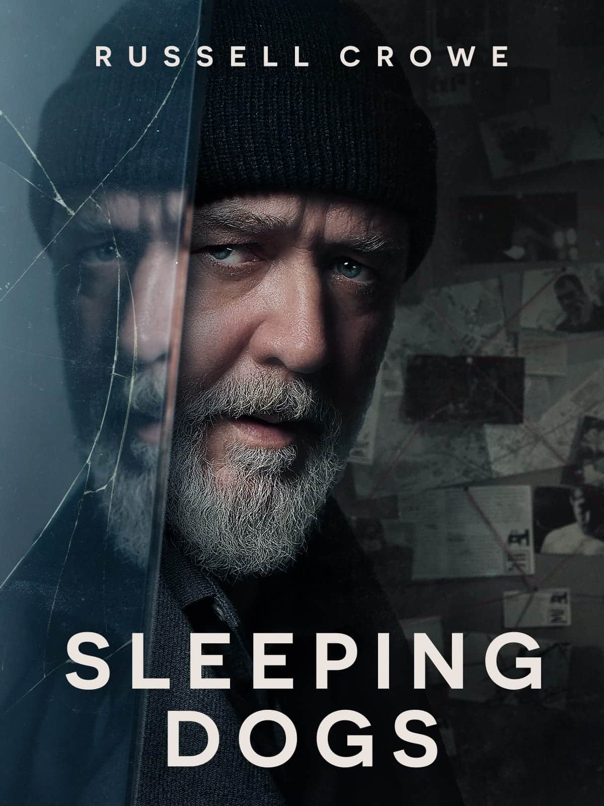 Sleeping Dogs 2024 Dual Audio Hindi English Movie HD ESub –