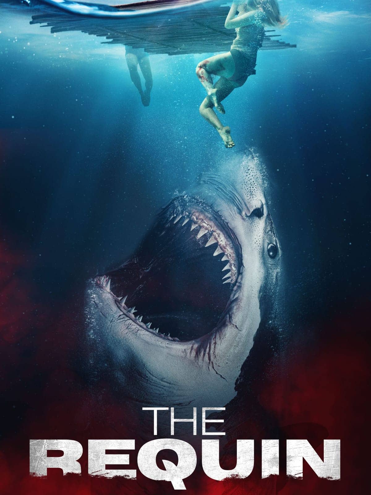 The Requin 2022 Dual Audio Hindi English Movie BluRay ESub –