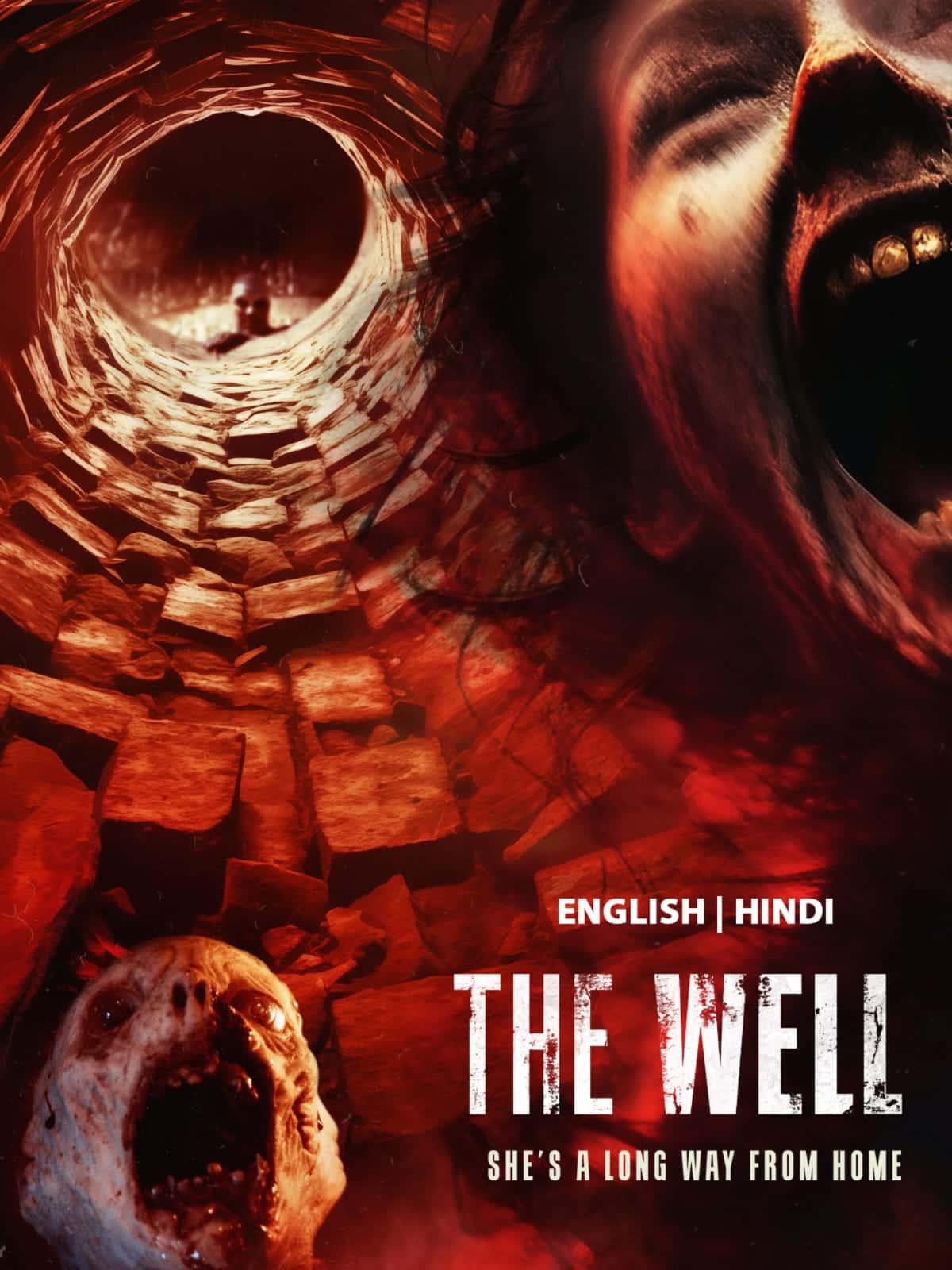 The Well 2023 Dual Audio Hindi English Movie HD ESub –
