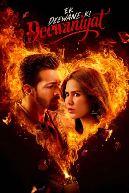 Ek Deewane Ki Deewaniyat (2025) Hindi Full Movie HD ESub